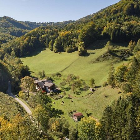 Urlaub Mitten Im Wald - Lueg Scheibbs Exterior photo
