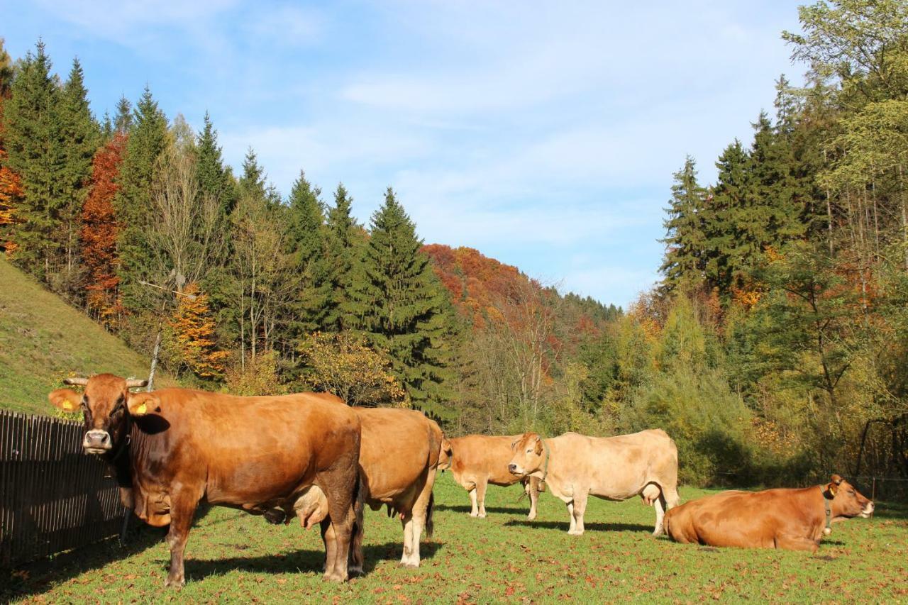 Urlaub Mitten Im Wald - Lueg Scheibbs Exterior photo